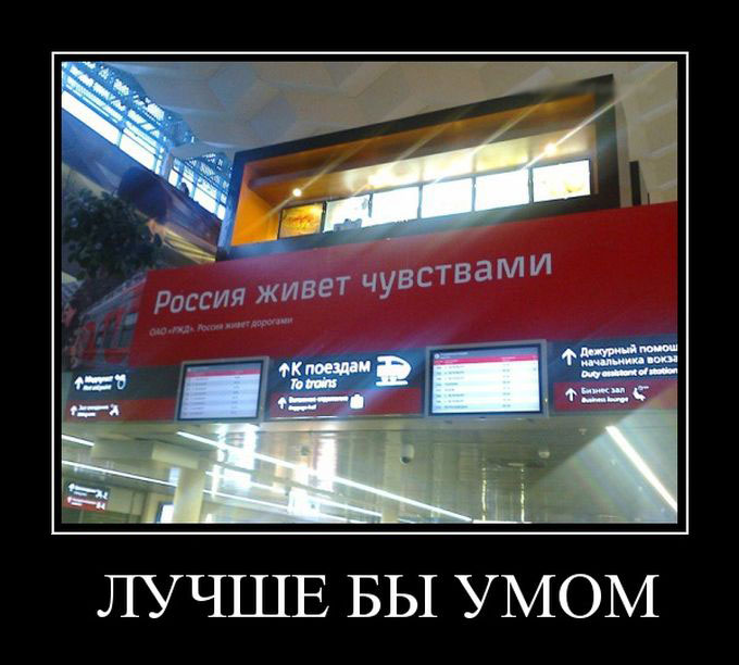 Демотиваторы про идеальную девушку