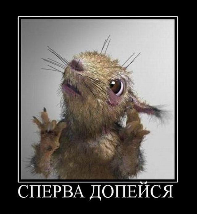 Сперва допейся