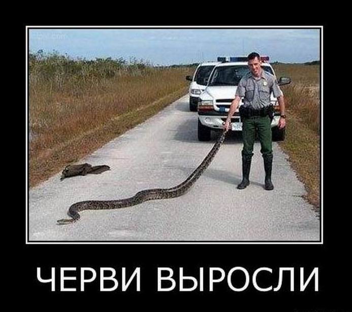 Черви выросли