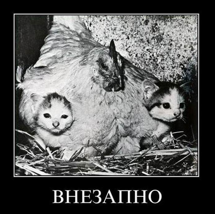 Внезапно