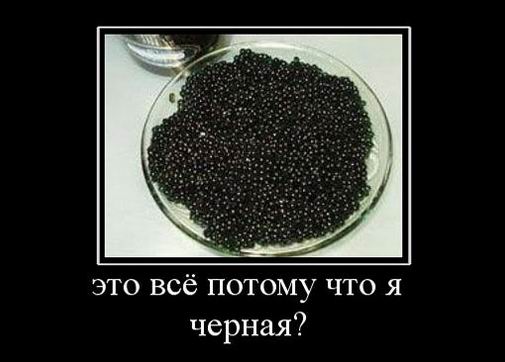Это всё потому что я черная?