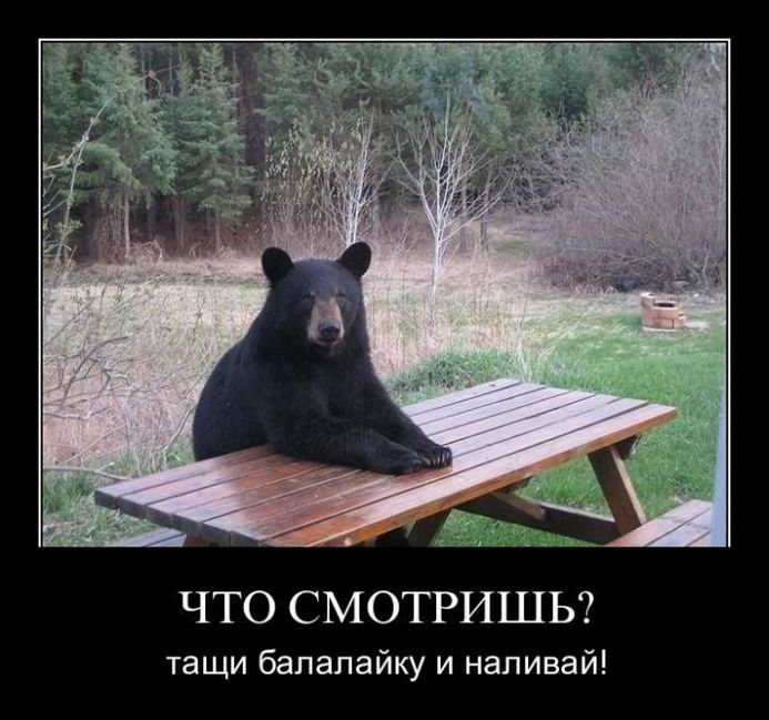Что смотришь