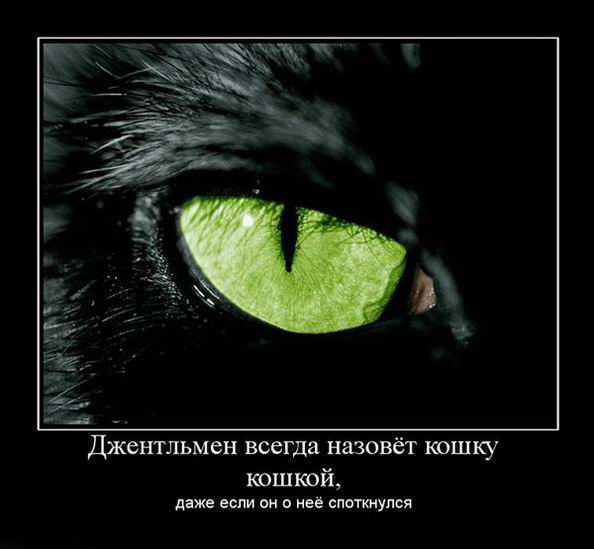 Джентльмен всегда назовет кошку кошкой