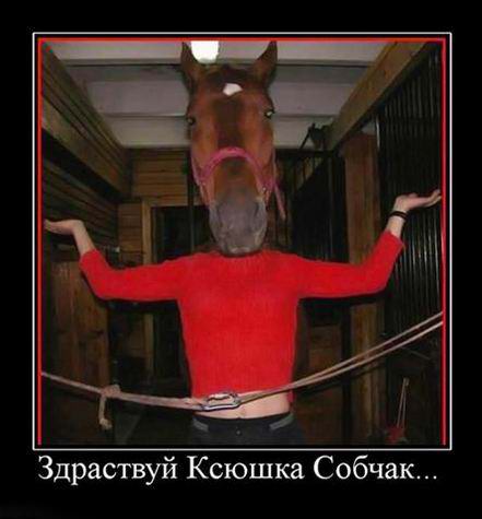 Здраствуй, Ксюшка