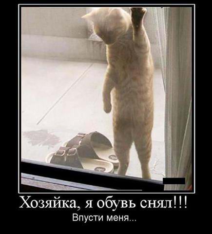 Хозяйка, я обувь снял! Впусти меня!