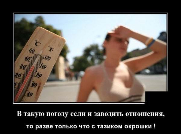 Новые отношения в жару