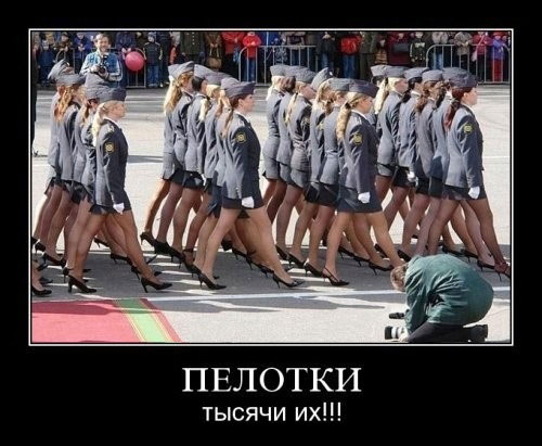Пелотки. Тысячи их!!!
