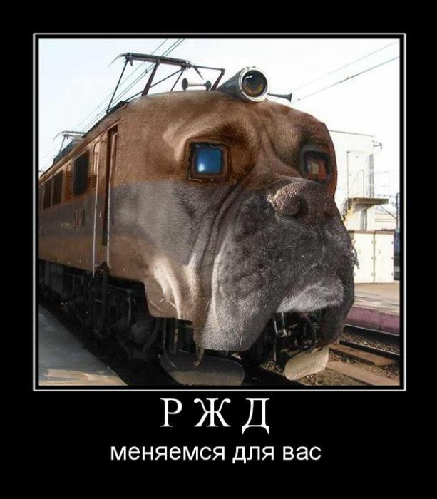 РЖД. Меняемся для вас