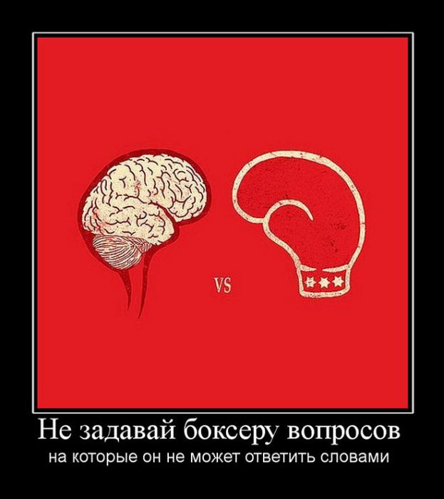 Не задавай боксеру вопросов