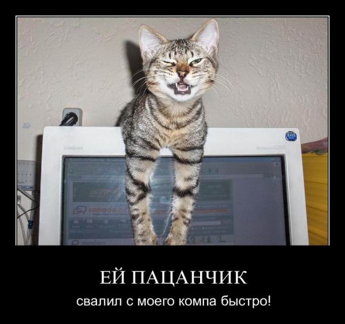 Ей пацанчик!