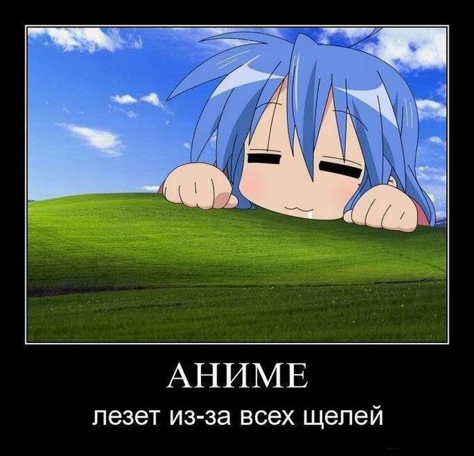   -  