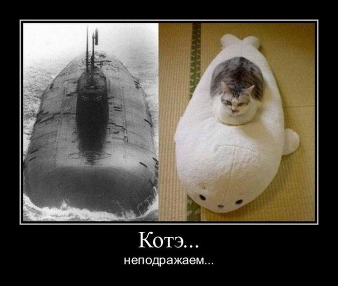 ... ...