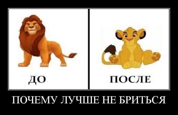 Почему лучше не бриться