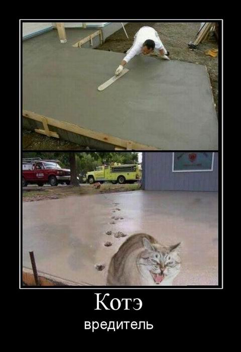 Котэ вредитель