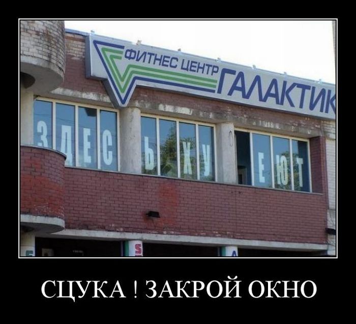 Сцука! Закрой окно