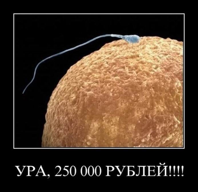 . 250000 !!!!