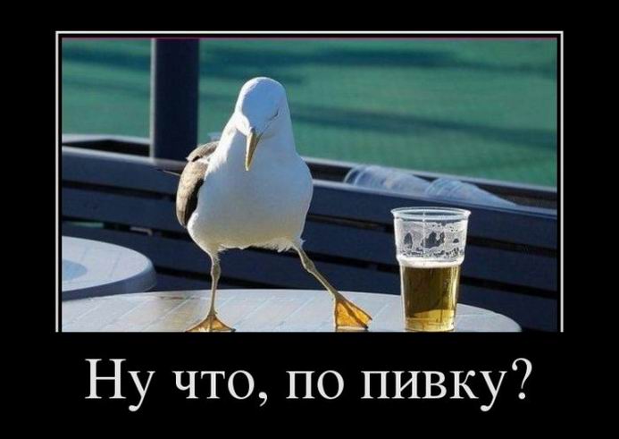  ,  ?