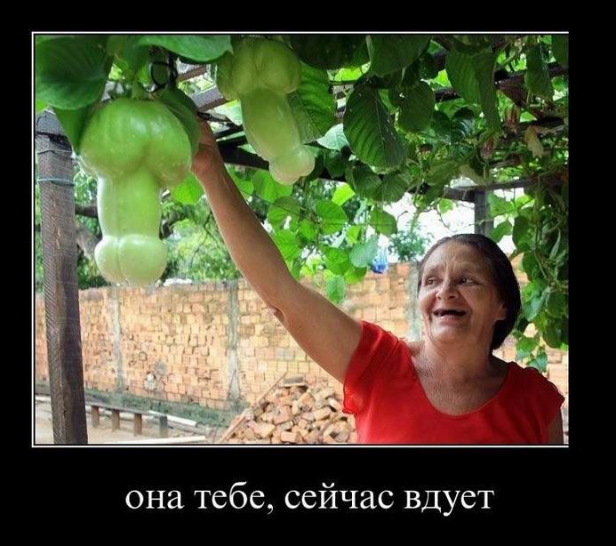 Она тебе сейчас вдует
