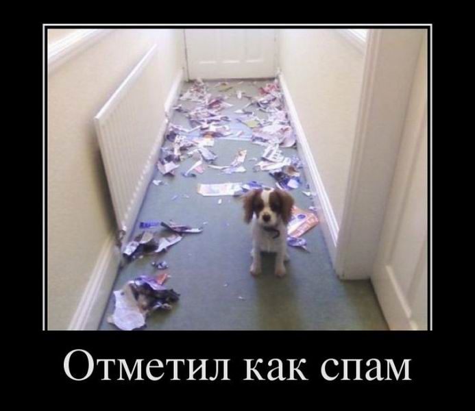 Отметил как спам
