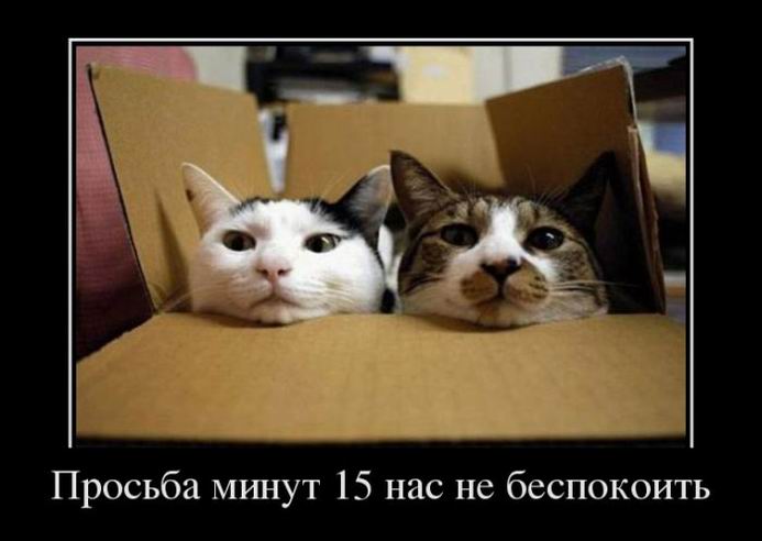 Просьба