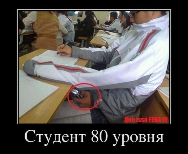  80 