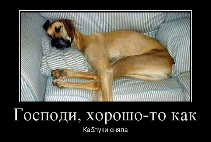 Хорошо-то как