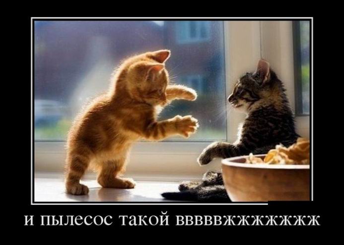 И пылесос такой вввввжжжжжжж