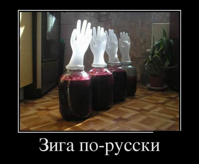 Зига по-русски