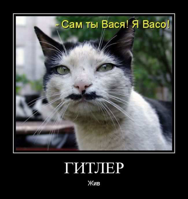 Папа просыпается после пьянки