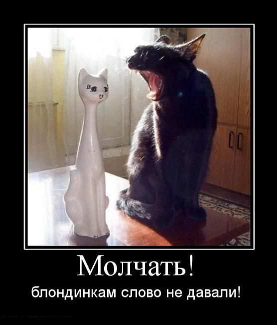 Молчать! Блондинкам слово не давали!