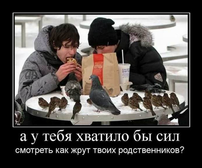 А у тебя хватило бы