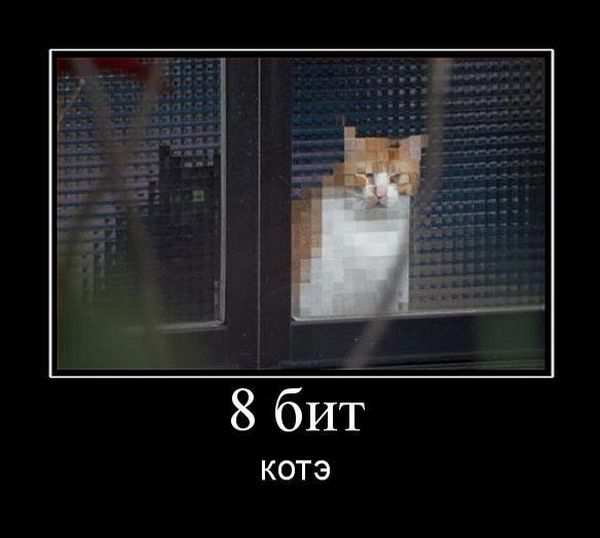 8 бит котэ