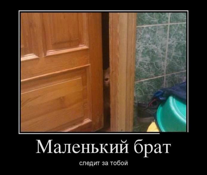 Маленький брат следит за тобой
