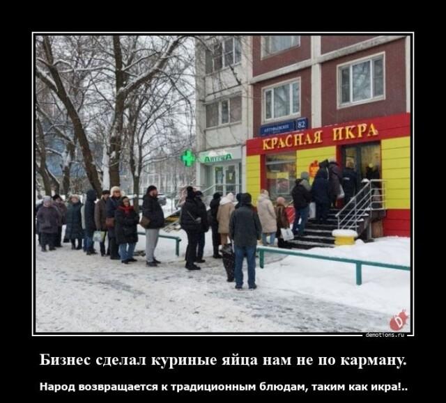 Куриные яйца нам не по карману
