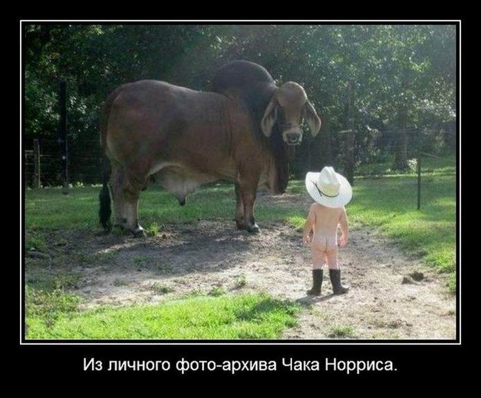 Из личного фото-архива Чака Норриса