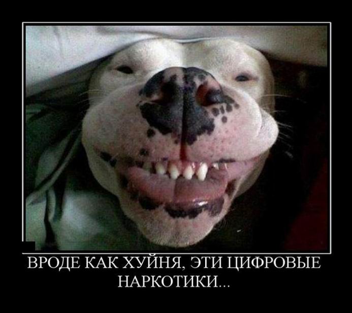 Цифровые наркотики