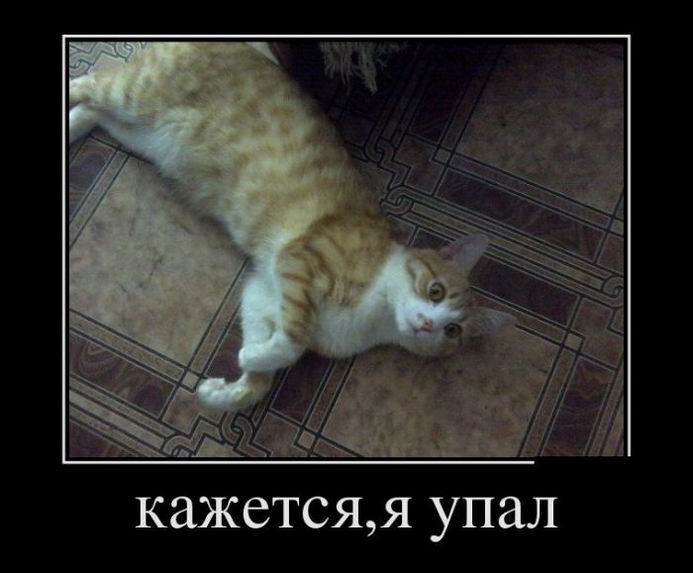 Кажется, я упал
