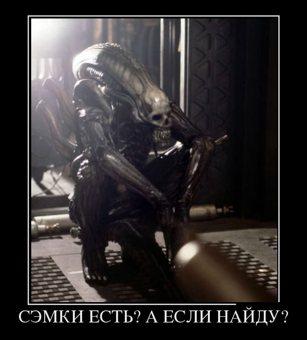 Сэмки есть? А если найду?