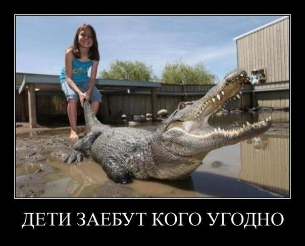 Дети замучают кого угодно