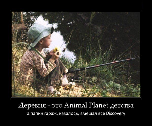   Animal Planet