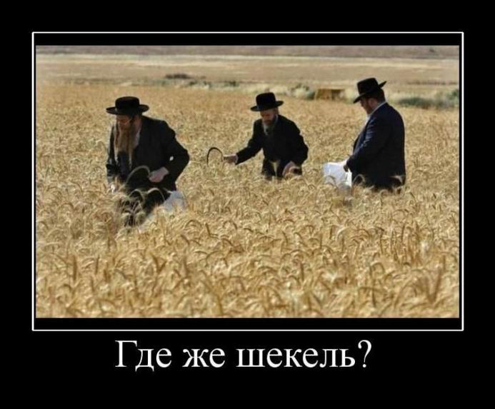 Где же шекель?