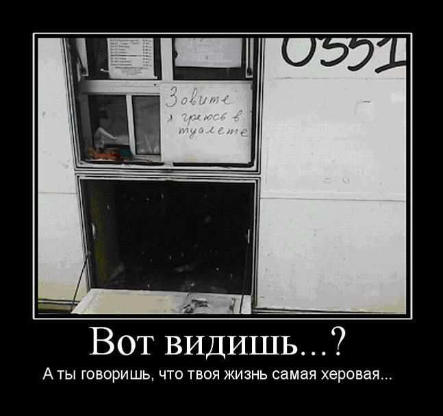Вот видишь...?