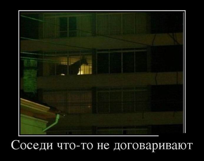 Соседи что-то не договаривают