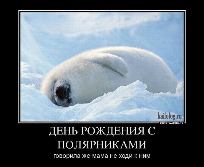 День рождения с полярниками