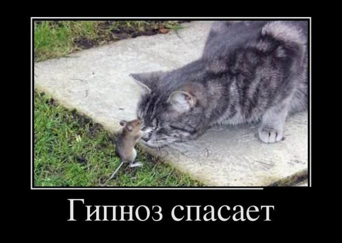 ������ �������