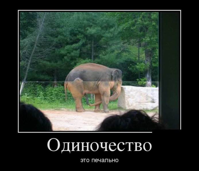 ����������� ��� ��������