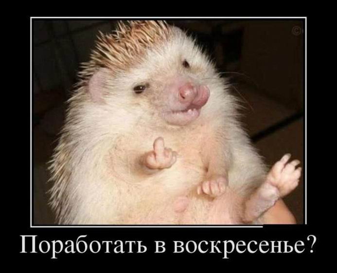 ���������� � �����������?