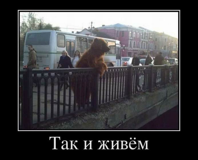 ��� � ����