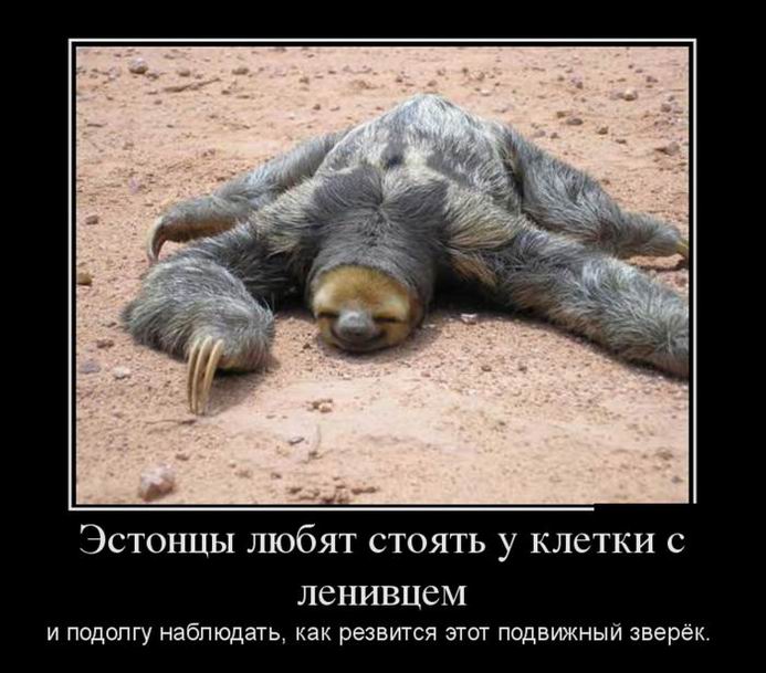 Belarusian gum