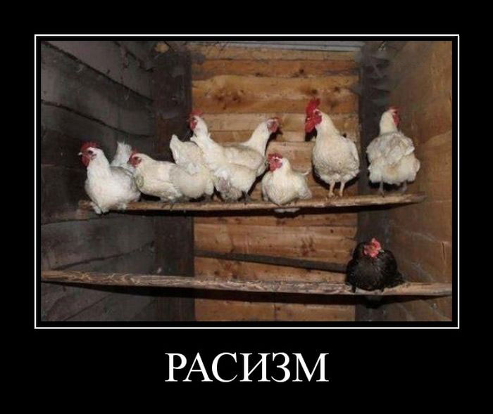 Расизм